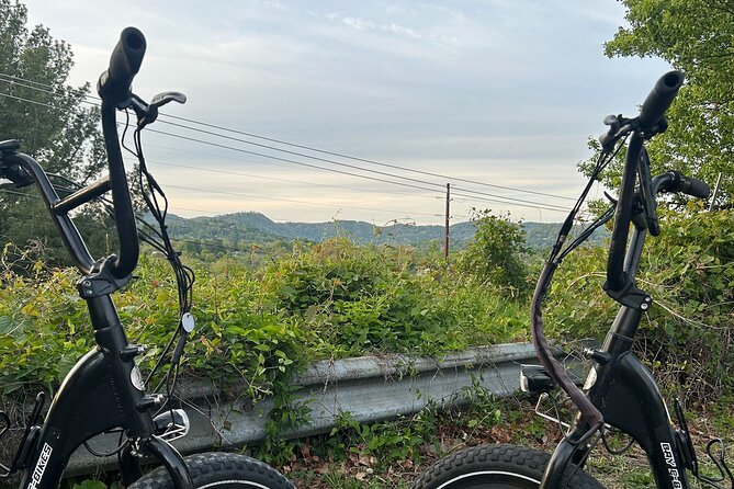 Guided Asheville E-bike Tour of River Arts, Mountains and Murals - Dive into Asheville’s Creative Spirit in the River Arts District
