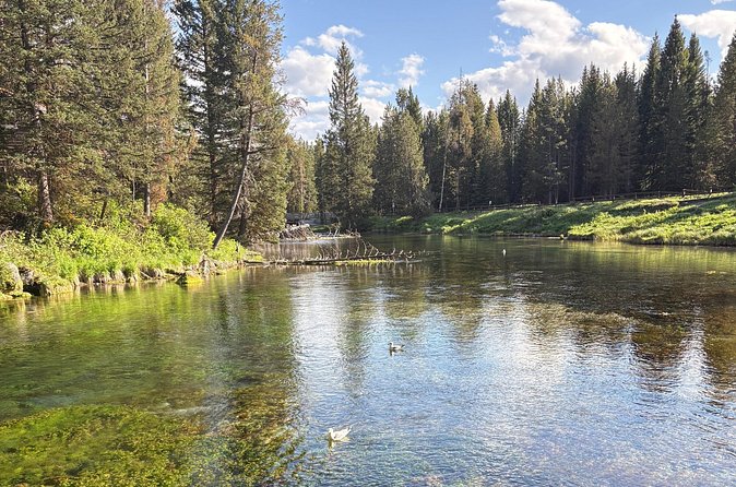 Guided ATV Tours and Explore Hidden Gems in the Yellowstone area - Limitations to Consider