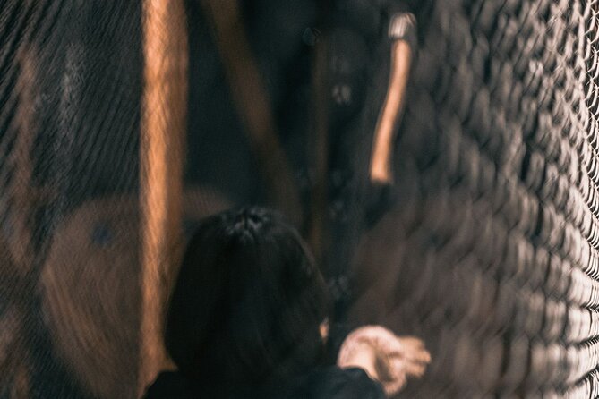 Guided Axe Throwing Experience in Frankfurt Altstadt - The Unique Experience of Learning with a Professional Axe Master