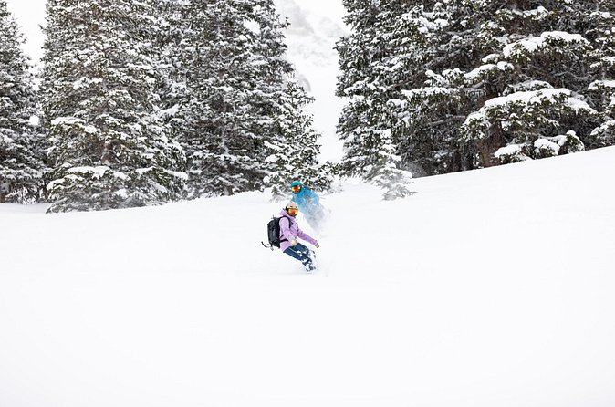 Guided Backcountry Skiing - Ouray - Who Is This Tour Ideal For?