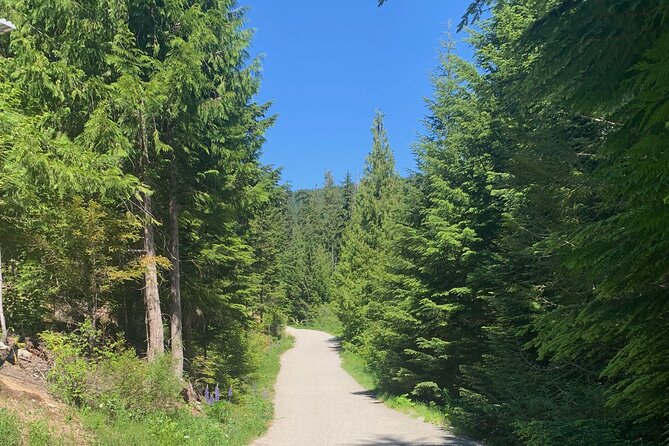 Guided Bike /E-bike Tour in Whistler From Vancouver - The Convenience of Private Transport from Vancouver