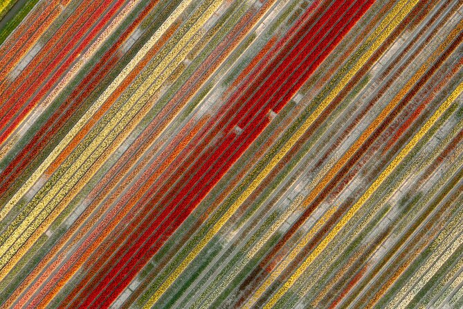 Guided Bike Tour along the Dutch Tulip Fields in Noord Holland - Practical Details: Meeting Point and Group Size