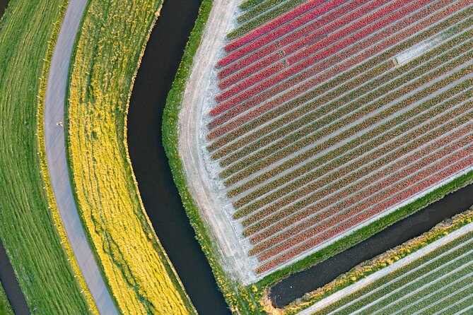 Guided Bike Tour along the Dutch Tulip Fields in Noord Holland - Suitable for Moderate Physical Fitness Levels