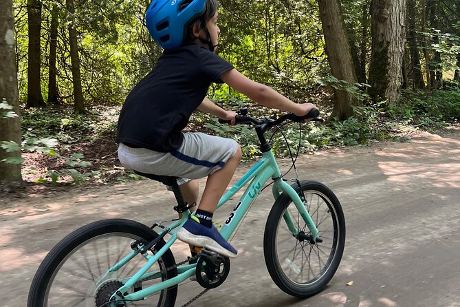 Guided Bike Tour of Mackinac Island with Scenic Views - The Scenic Views of Lake Huron and Iconic Landmarks