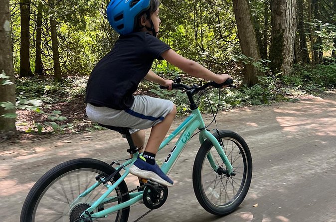 Guided Bike Tour of Mackinac Island with Scenic Views - Accessibility, Comfort, and Practical Tips