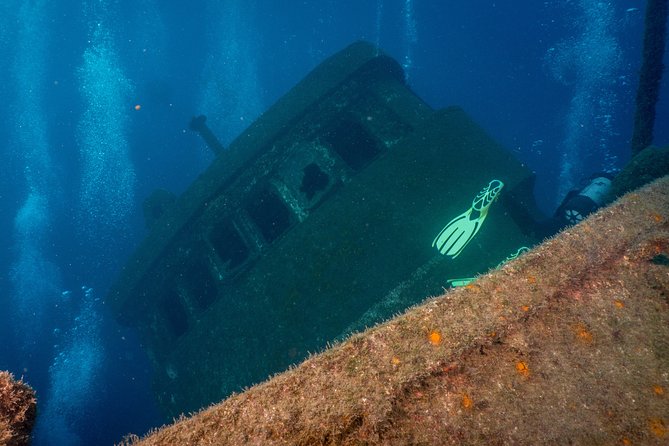 Guided Boat Dives for Certified Divers - Key Points