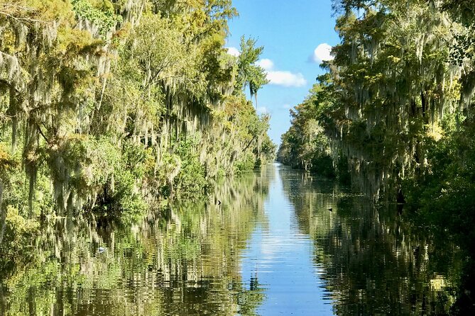 Guided Boat Tour of New Orleans Bayou and Wildlife - Logistics and Practical Tips for the Tour