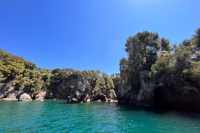 Guided Boat Tour of the Gulf of Poets - Optional Onboard Tasting of Local Dishes