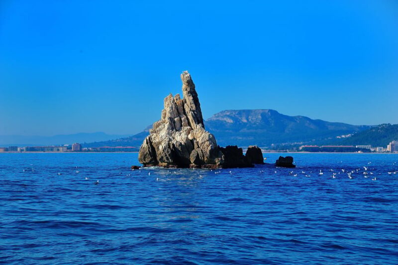 Guided Boat Tour to Medes Islands & Roca Foradada with Swim - Key Points