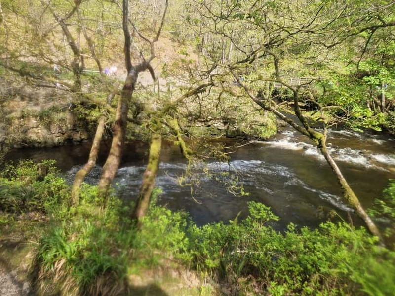 Guided Breacon Beacons 4 waterfalls in day hike from Cardiff - Customer Feedback Highlights