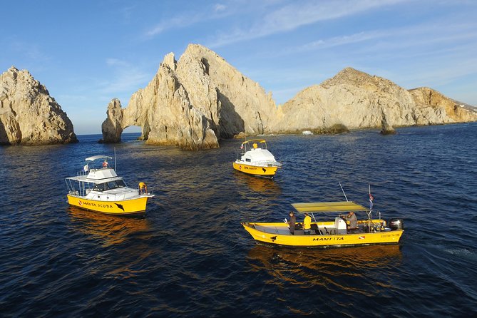 Guided by Divemaster, Cabo San Lucas short Snorkeling Tour MANTA - Customer Service and Overall Experience