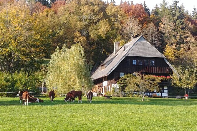 Guided cider tasting - Key Points