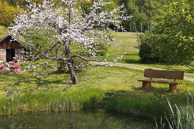 Guided cider tasting - The Importance of Sustainability and Innovation