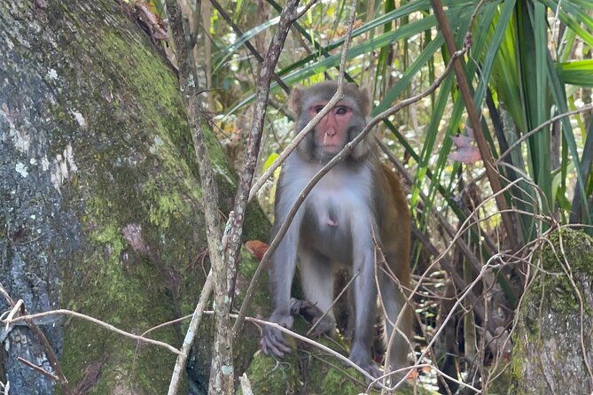 Guided Clear Kayak Tours on the Silver River - What to Expect During the Itinerary