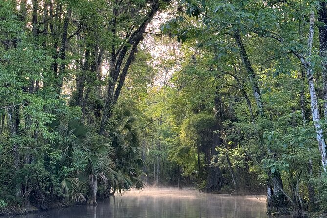 Guided Clear Kayak Tours on the Silver River - Logistics: Meeting Location and Additional Fees