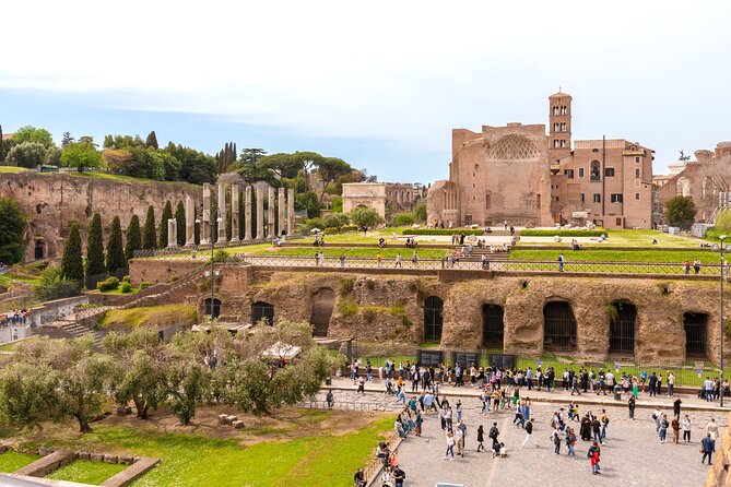 Guided Colosseum Tour with Roman Forum & Palatine Hill - Handling the Crowds and Physical Challenges