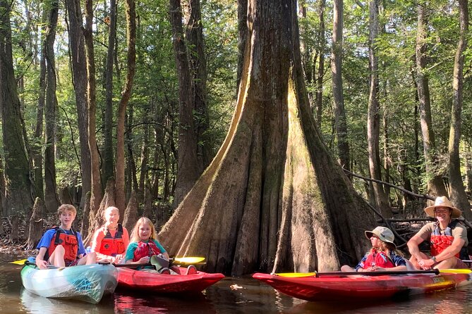 Guided Congaree National Park Kayak Tour - Discover the Guided Congaree National Park Kayak Tour