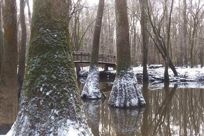 Guided Congaree National Park Kayak Tour - The Practicalities of Going Rain or Shine