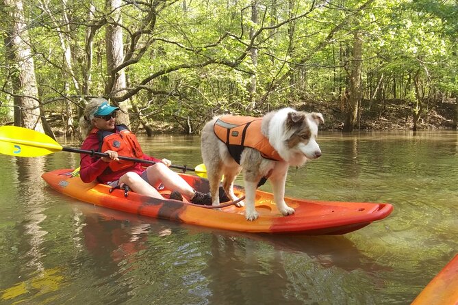 Guided Congaree National Park Kayak Tour - Wildlife Watching and Natural Highlights