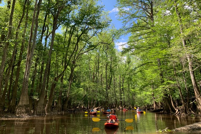 Guided Congaree National Park Kayak Tour - Environmental Impact and Conservation Focus