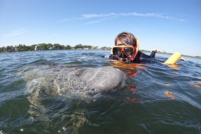 Guided Crystal River Manatee Snorkeling Tour - Physical Requirements and Suitability