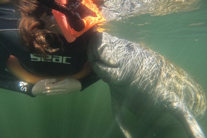 Guided Crystal River Manatee Snorkeling Tour - Frequently Asked Questions