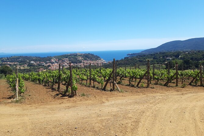 Guided Cycle Tourism Wine Tour by E-Bike on the Island of Elba "Arrighi" - Coastal Walk at Passeggiata Carmignani
