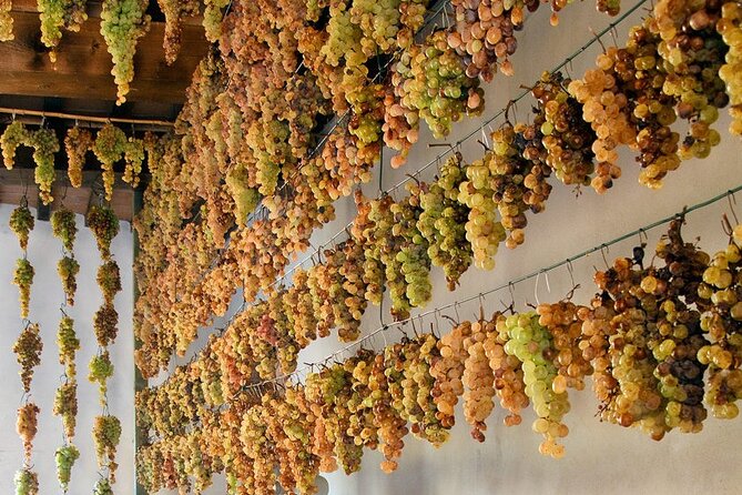 Guided Cycle Tourism Wine Tour by E-Bike on the Island of Elba "Arrighi" - Historic Forte Longone and Its Coastal Views