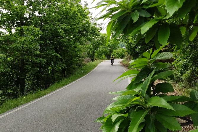 Guided Cycling - Blue Village Ronda - Moderate Level Difficulty - Logistics and Meeting Details