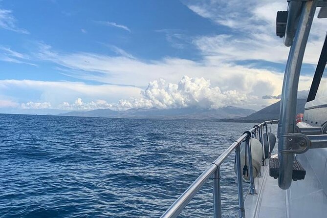 Guided day by boat from Palermo - Scenic Return with Seasonal Fruit and Wine