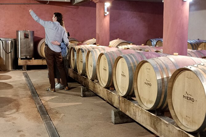 Guided Day Tour and Wine Tasting Northern Rhône Valley - Return to Lyon with Scenic Views