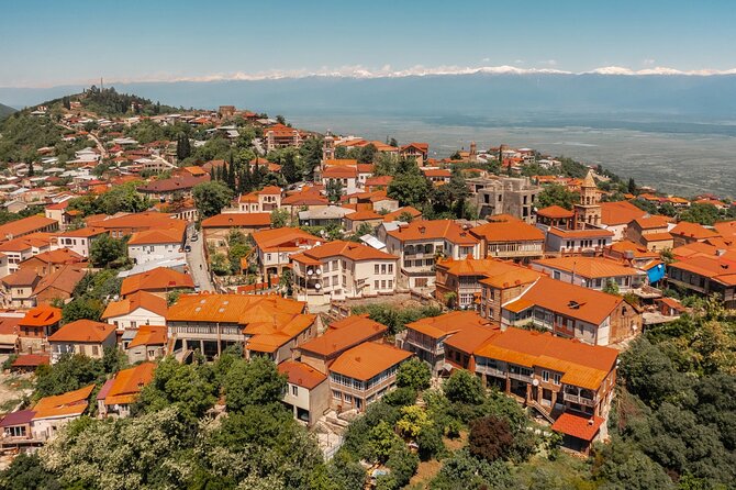 Guided Day Tour From Tbilisi Kakheti and Sighnaghi with Wine - Explore Kakheti and Sighnaghi on a Budget-Friendly Day Trip from Tbilisi