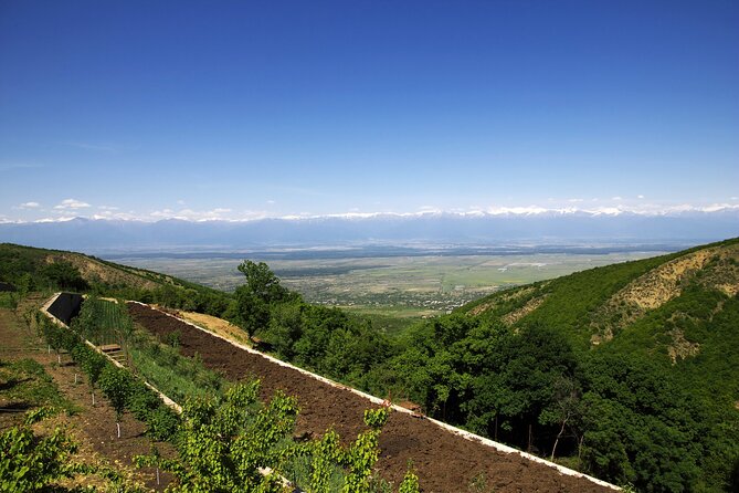 Guided Day Tour From Tbilisi Kakheti and Sighnaghi with Wine - Key Points
