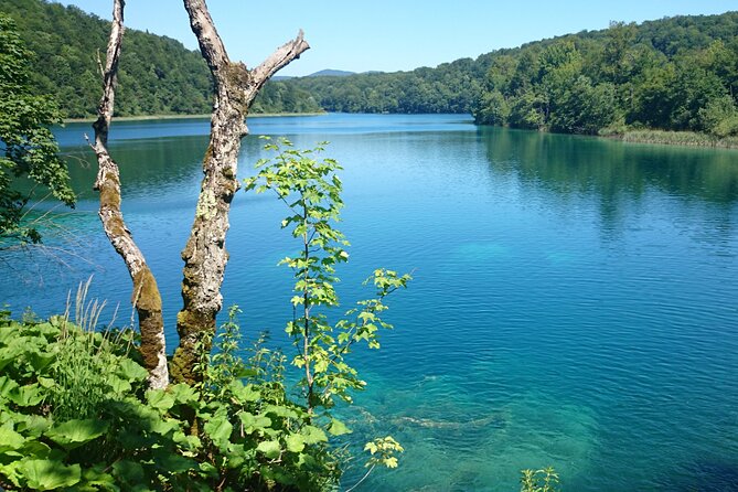 Guided Day Tour from Zadar to Plitvice Lakes - Flexibility and Cancellation Options