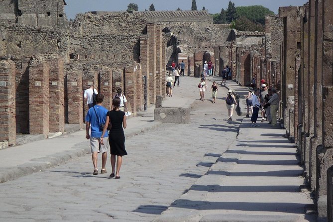 Guided Day Tour of Pompeii and Herculaneum with Light Lunch - Accessibility and Physical Considerations
