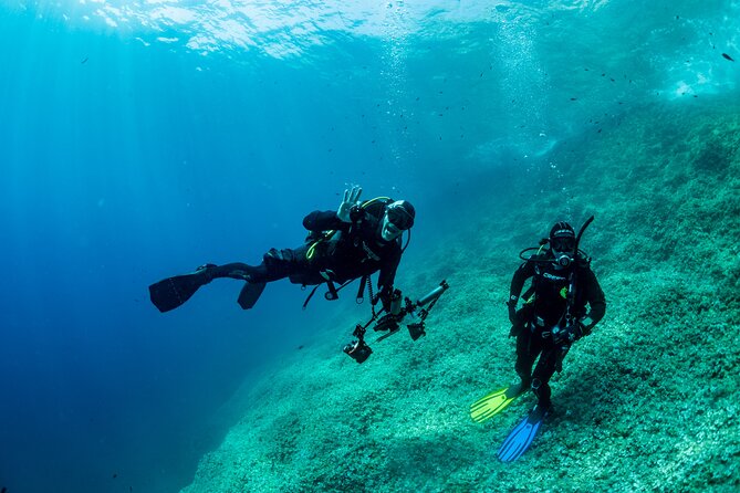 Guided diving for beginners without certification from Sorrento - Who Should Consider This Tour?