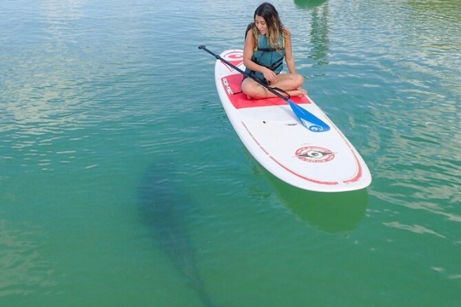 Guided Dolphin Eco Tour by Kayak & SUP - Fort Myers Beach, FL - Key Points