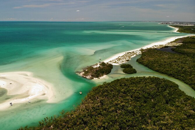 Guided Dolphin Eco Tour by Kayak & SUP - Fort Myers Beach, FL - What Makes This Tour Stand Out in Fort Myers Beach