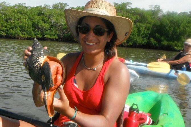 Guided Dolphin Eco Tour by Kayak & SUP - Fort Myers Beach, FL - Wildlife Encounters and Bird Watching