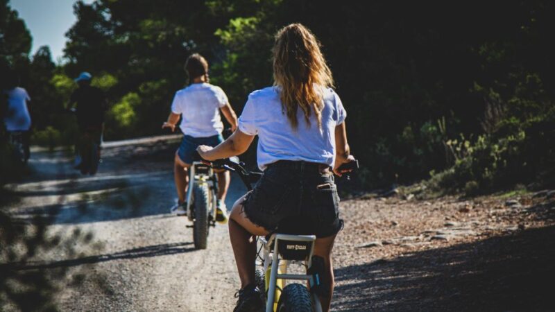 Guided E-Bike Tour Ibiza - Key Points