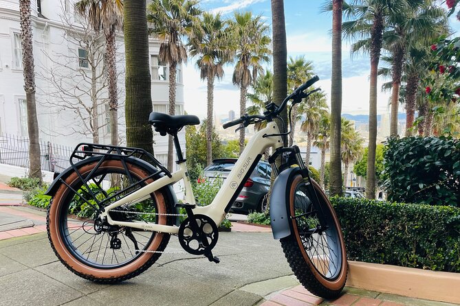 Guided E Bike Tour in San Francisco - Discover San Francisco’s Cultural and Scenic Treasures on a Guided E Bike Tour