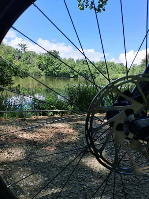 Guided E-Bike Tour in the Mandria Park - Key Points