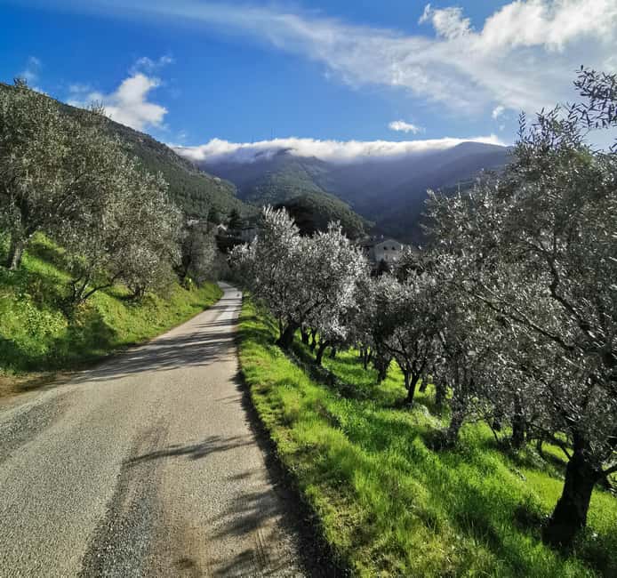 Guided E-Bike Tour in the Province of Pisa: The Villages of Buti and Vicopisano - Guided E-Bike Tour in Tuscany: Exploring Buti and Vicopisano