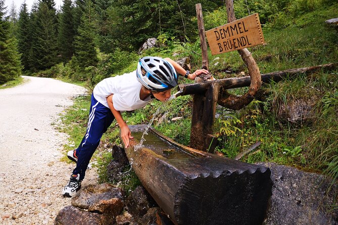 Guided e-bike tour of the alpine pastures in the Salzkammergut - The Experience and Pacing on the Tour
