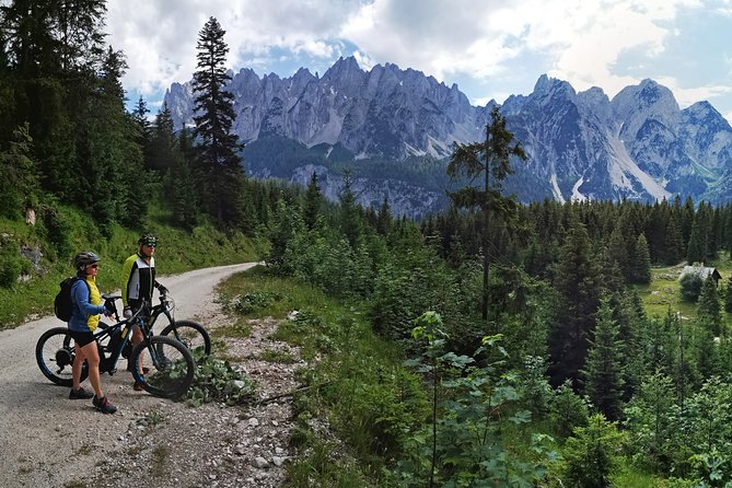 Guided e-bike tour of the alpine pastures in the Salzkammergut - The Role of the Guides and Their Local Knowledge