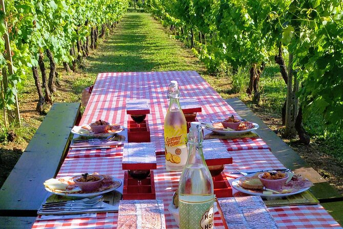 Guided E-Bike Tour with Wine Tasting from Lucca - Discover Lucca on an E-Bike with Wine Tasting for $126