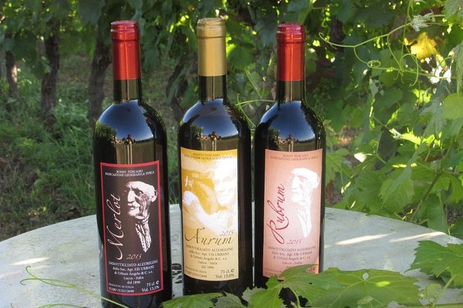 Guided E-Bike Tour with Wine Tasting from Lucca - Practical Details and Accessibility