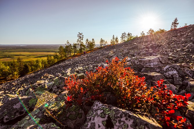 Guided easy hike in Finland deepest gorge in Pyhä-Luosto National Park - Starting Point: Luosto and the Wilderness Drive