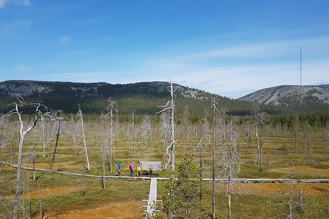 Guided easy hike in Finland deepest gorge in Pyhä-Luosto National Park - Additional Inclusions and Amenities