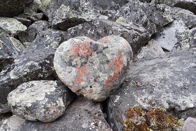 Guided easy hike in Finland deepest gorge in Pyhä-Luosto National Park - Why This Tour Stands Out in Pyhä-Luosto